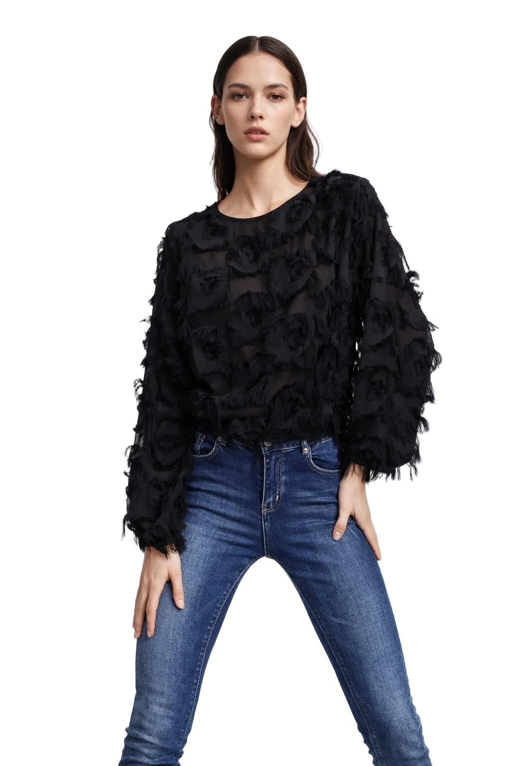 Black Long Sleeve Textured Sheer Blouse