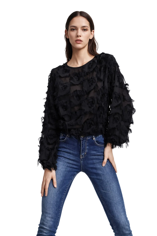 Black Long Sleeve Textured Sheer Blouse