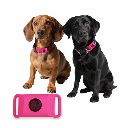 Flea and tick collar pendant tag with magenta collar on dog and black cat