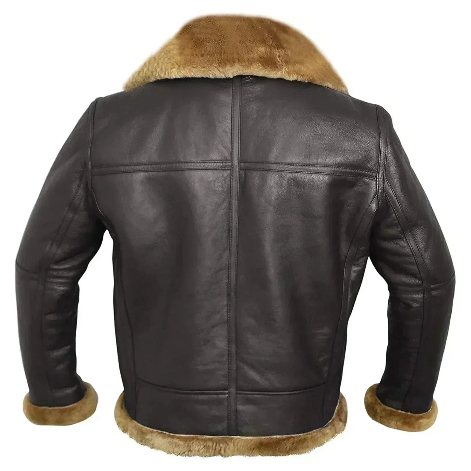 Men's dark leather aviator jacket with tan shearling lining, back panel, and zip seam